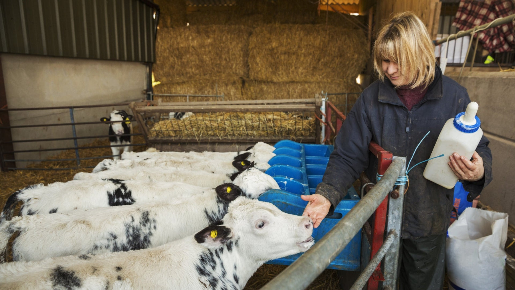 The Impact of Accurate Weighing on Agricultural Productivity