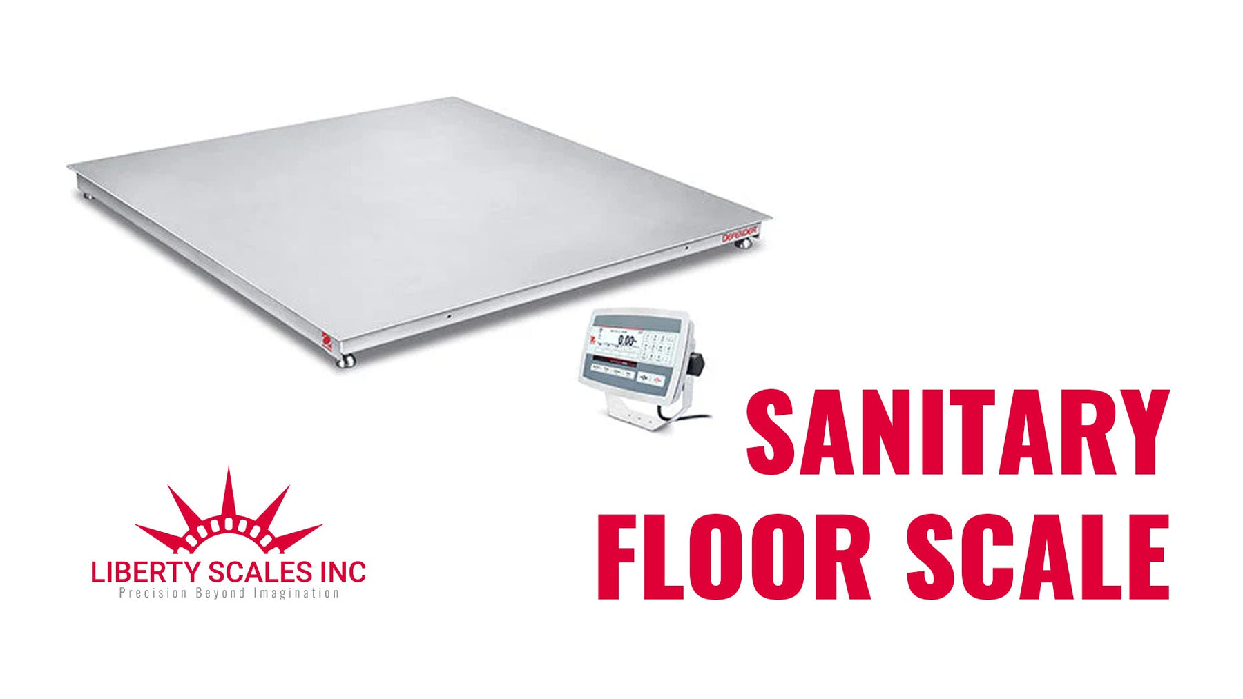 Sanitary Floor Scale | Precision & Hygiene for Industrial Needs