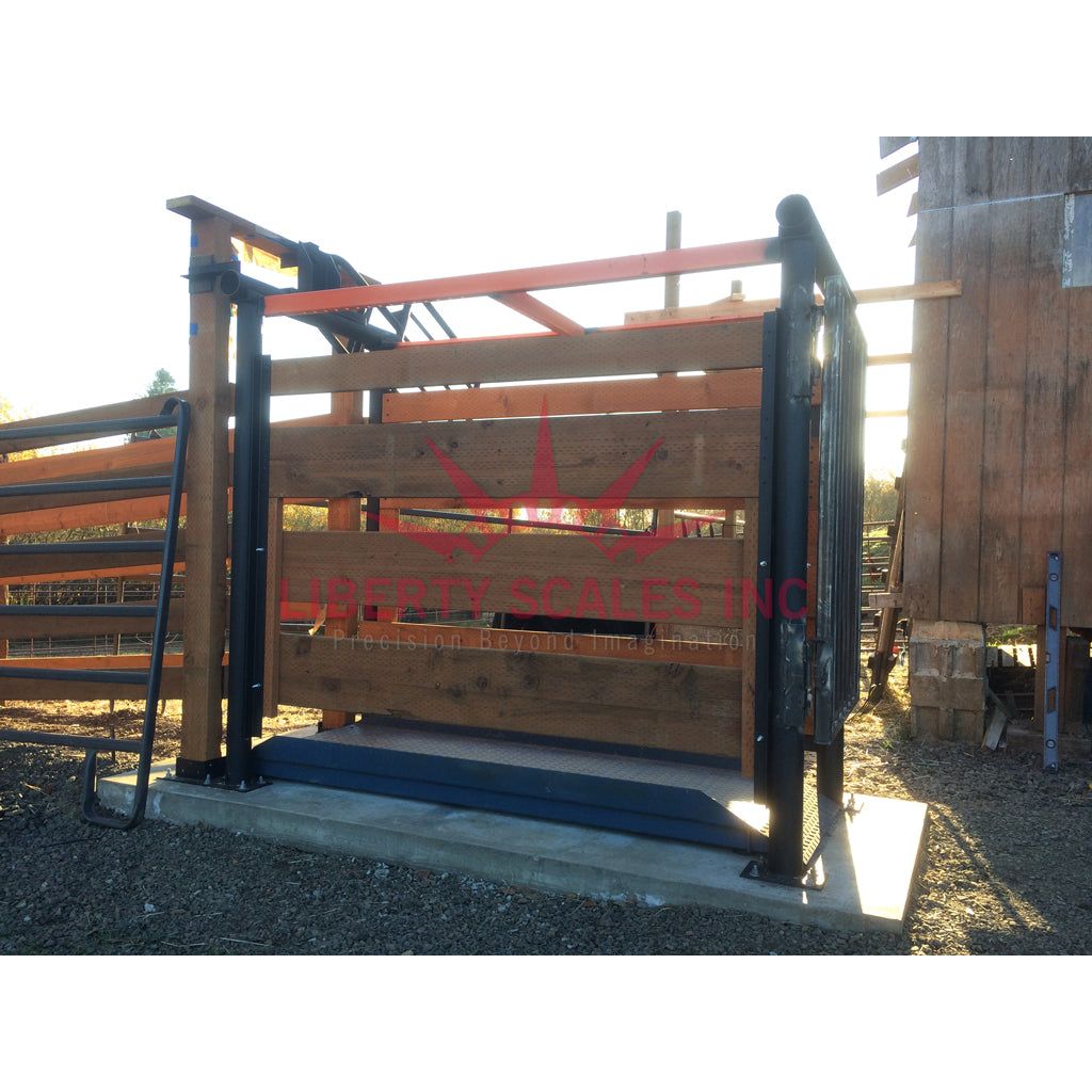 livestock scale for cattle side view