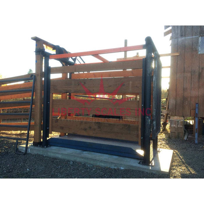 livestock scale for cattle side view