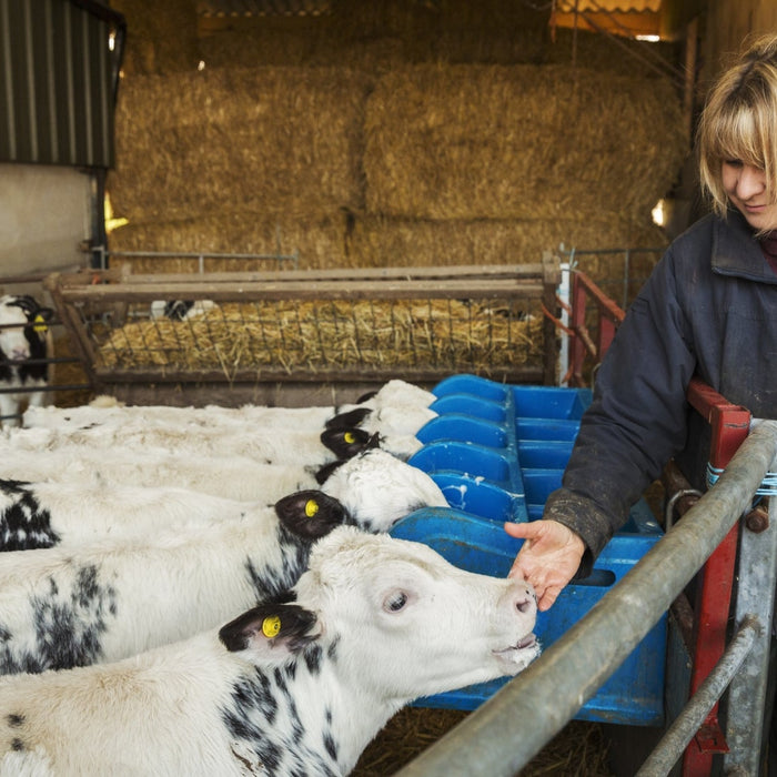 The Impact of Accurate Weighing on Agricultural Productivity