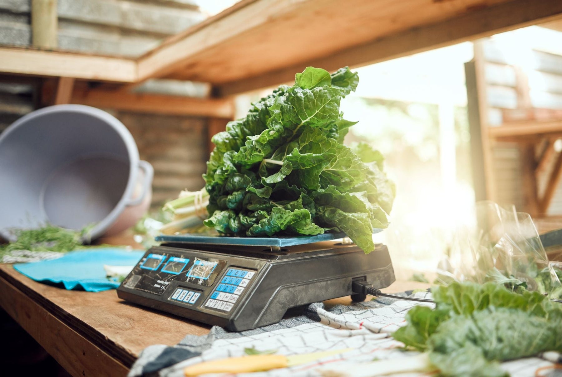 Commercial Scale: The Complete Guide to Business-Grade Weighing Solutions