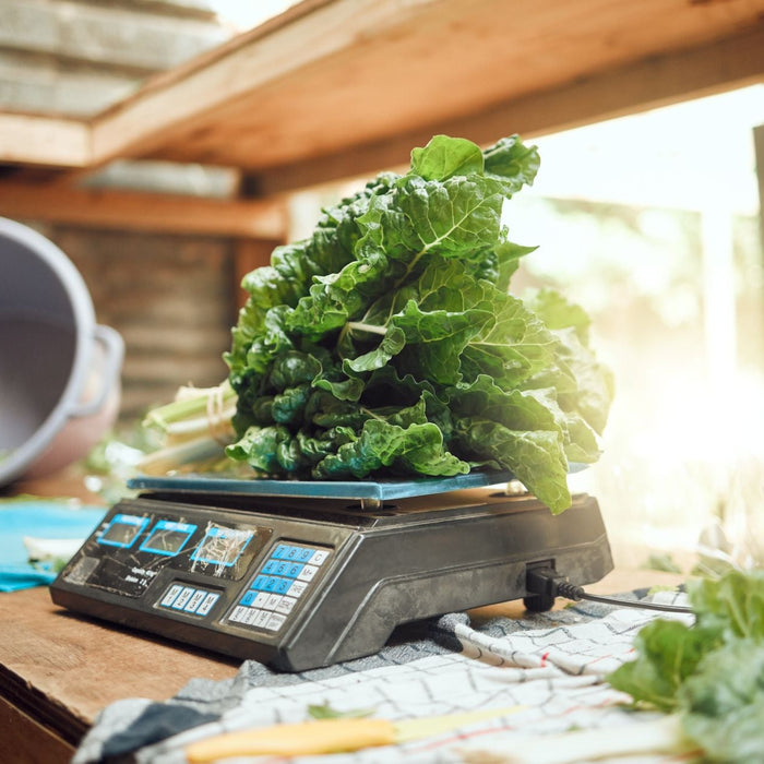 Commercial Scale: The Complete Guide to Business-Grade Weighing Solutions