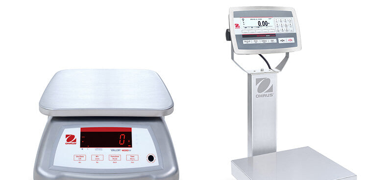 Industrial Scales Ideal for Washdown Areas