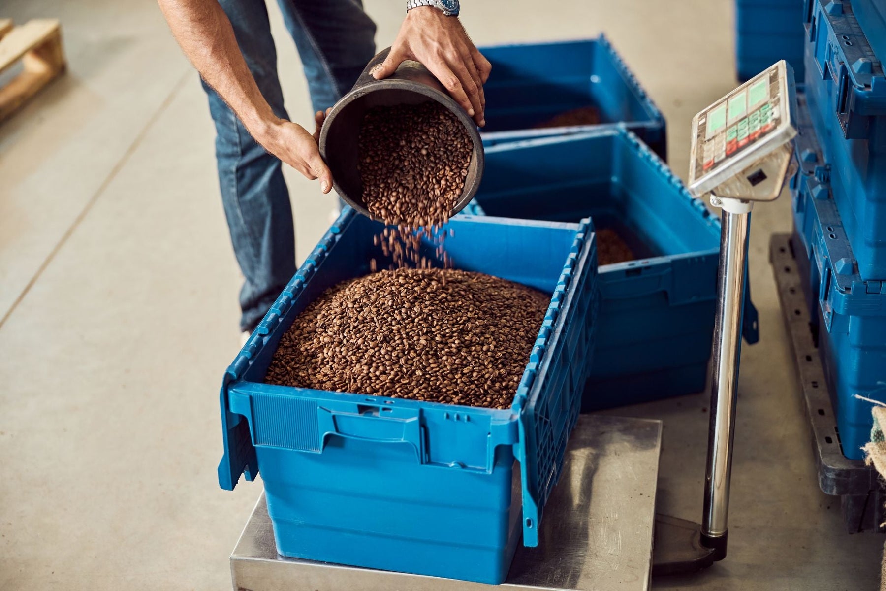 Large Scales: High-Capacity Precision Solutions for Industrial and Agricultural Weighing