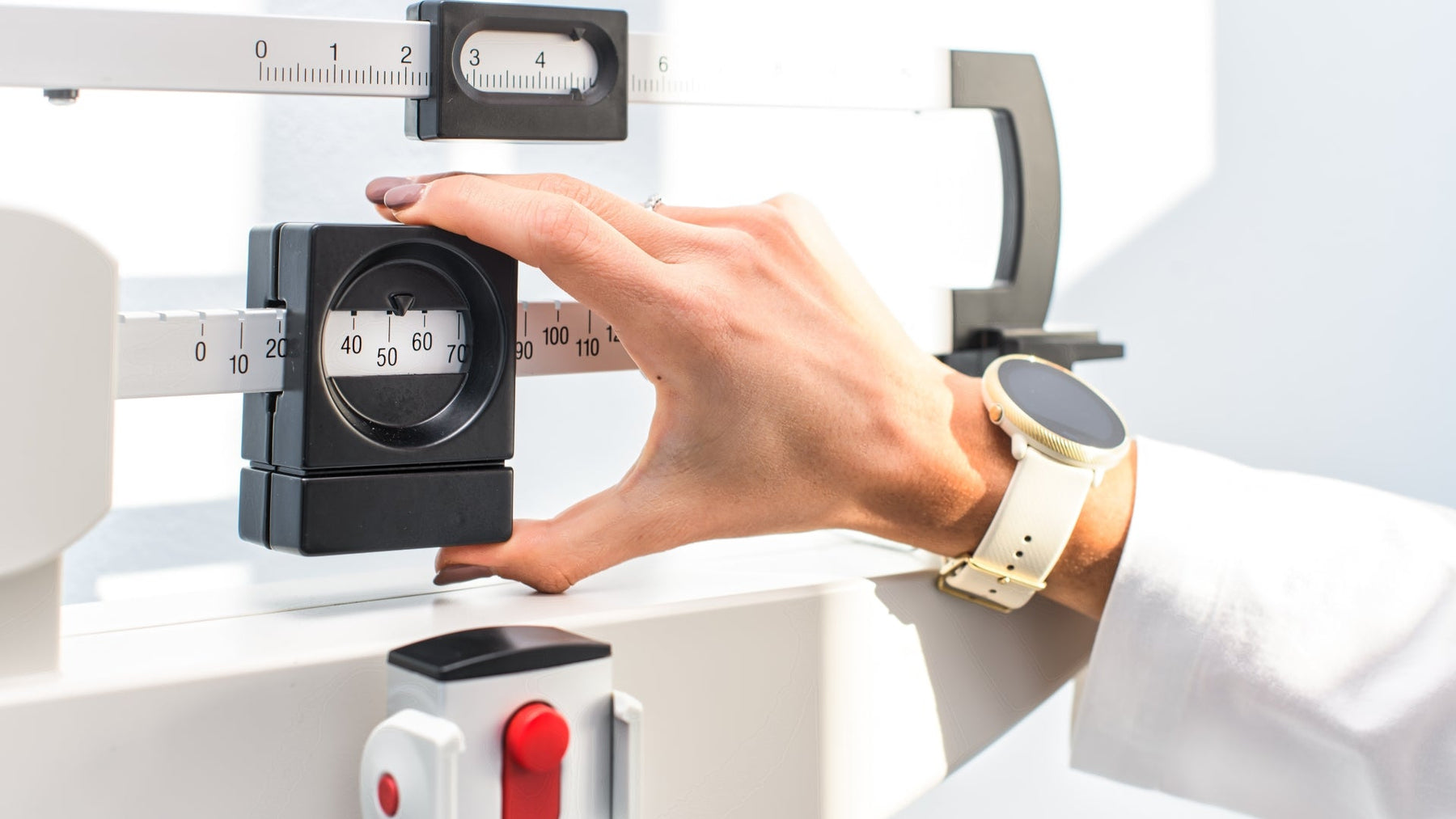 Top Modular Scale Solutions for Precision Weighing Systems