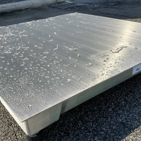 best washdown NTEP floor scale LS-800