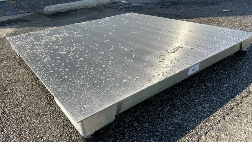 best washdown NTEP floor scale LS-800