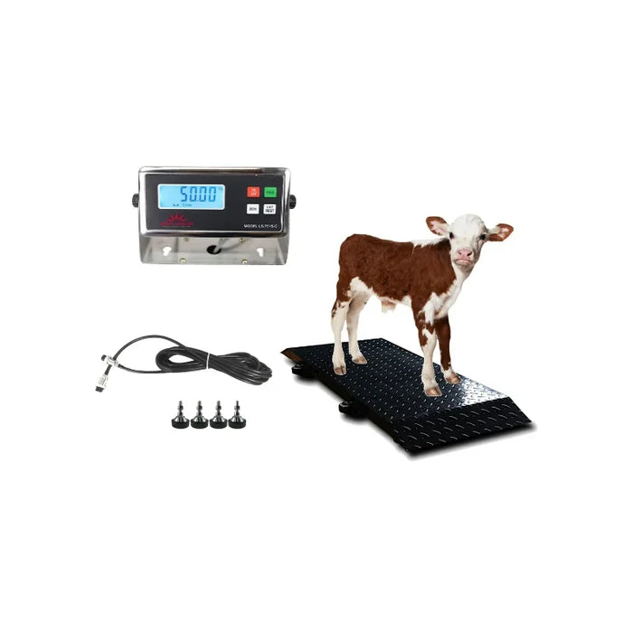Calf Scales: How to Choose the Right Calf Weighing Scale