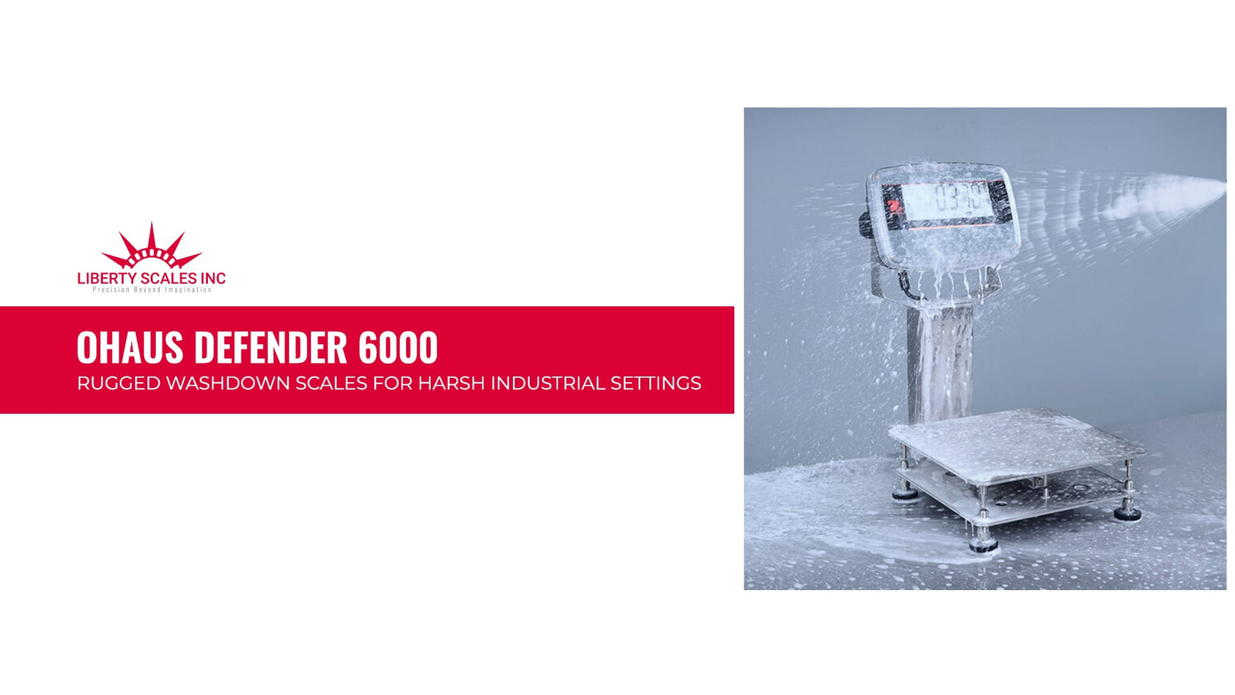 Ohaus Defender 6000: Rugged Washdown Scales for Harsh Industrial Settings