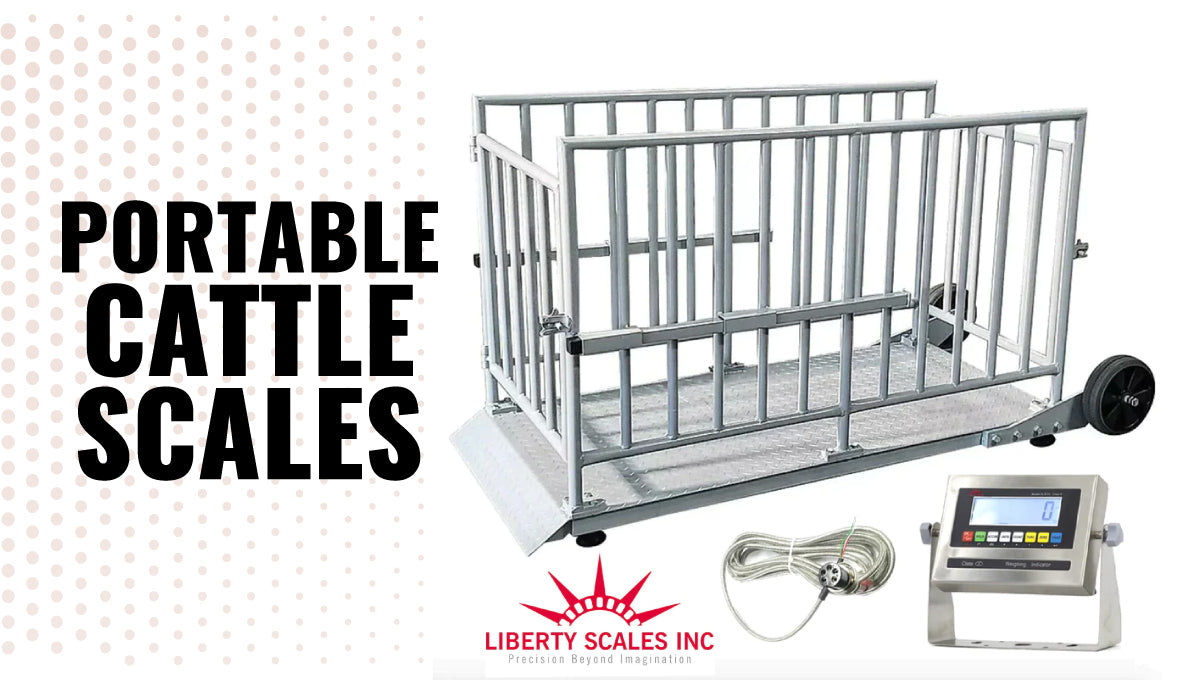 Why Portable Cattle Scales Are Essential in Modern Livestock Management