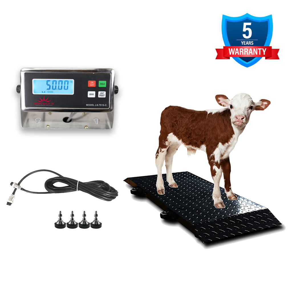 Cattle weighing online scales