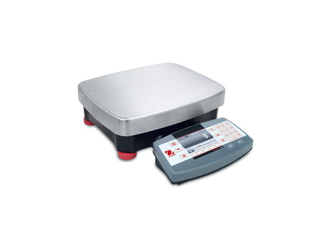 Compact Bench Scales