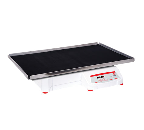 Ohaus SHHD1619DG