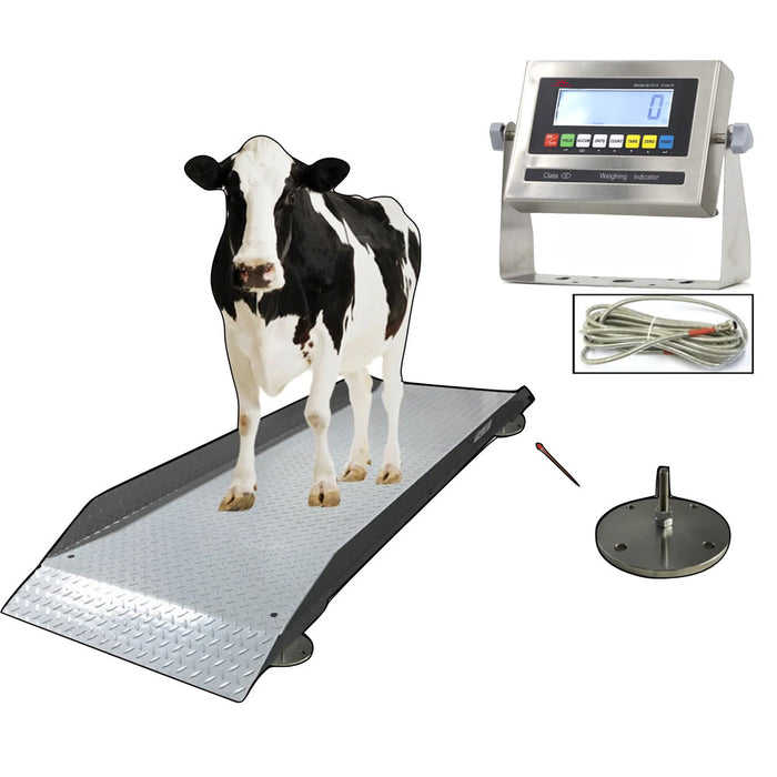 Liberty Scales LS-929 livestock scale for cattle with a stainless steel indicator