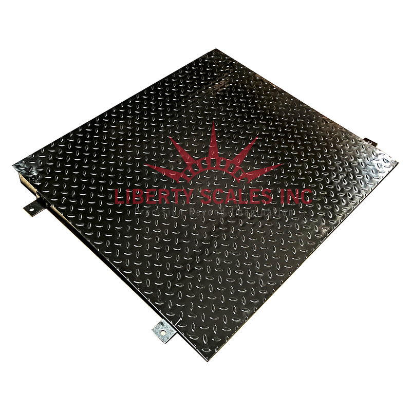 Liberty LS-750 Ramps used for floor scales