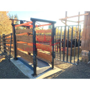 digital livestock scale for cattle placed in a cattle farm