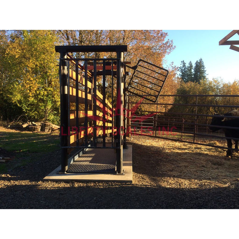 livestock scale for cattle in a livestock farm