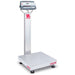 Ohaus 18"x18" Bench Scale, D52P50RQL2 1100lbx50kg - Libertyscales