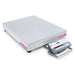 Ohaus 24"x18" Bench Scale, D52P125RTX5 250lbx125kg - Libertyscales