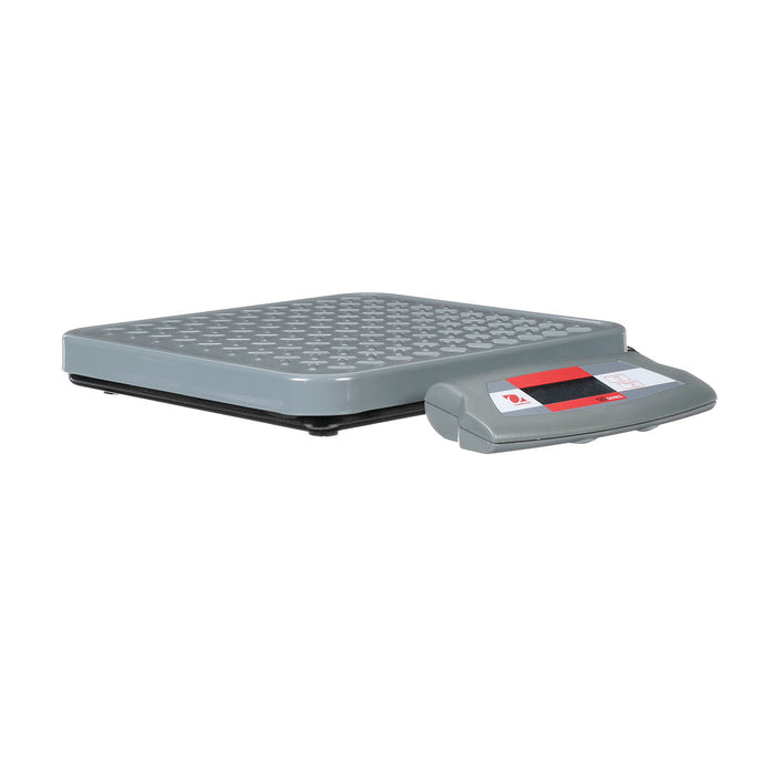 Ohaus 12.4" x 11" SD Series SD75, Painted Steel 165 lb x 0.1 lb - Libertyscales